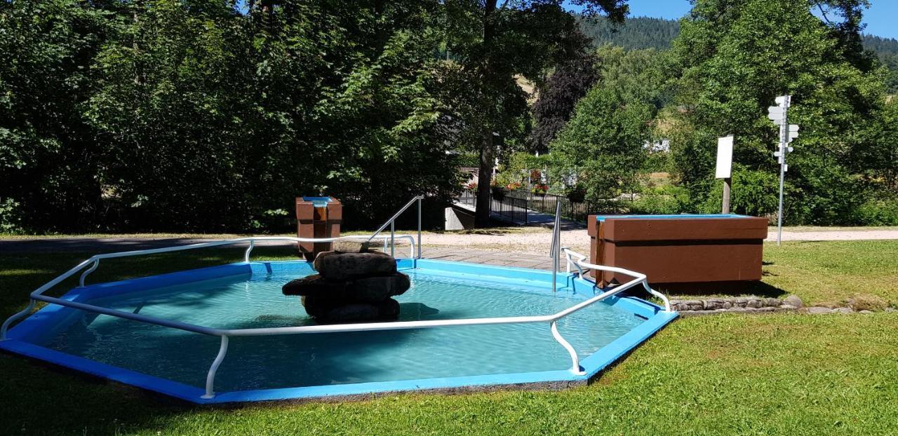 Ferienwohnung Vogelnest Im Schwarzwald Baiersbronn Exterior photo