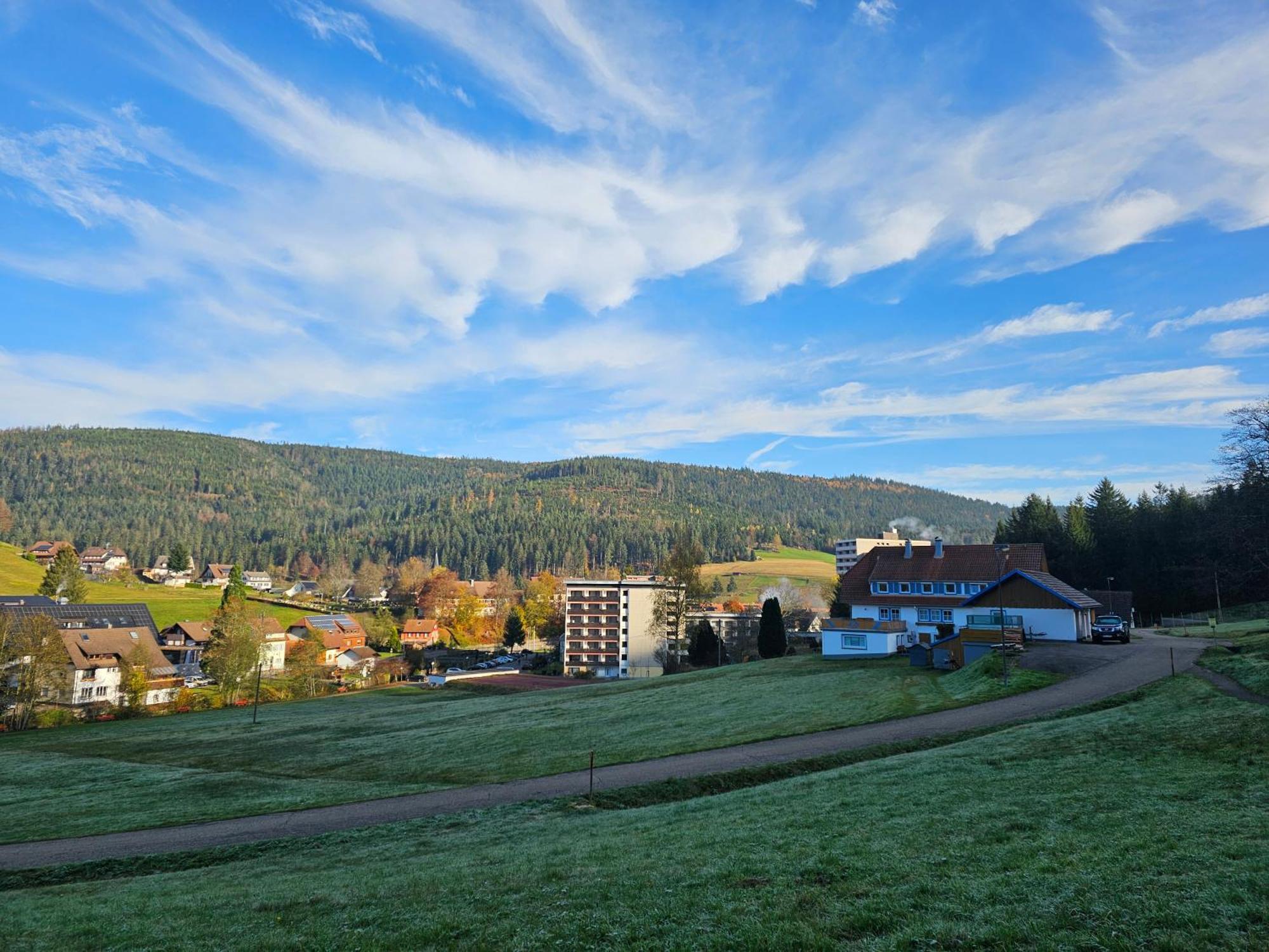 Ferienwohnung Vogelnest Im Schwarzwald Baiersbronn Exterior photo